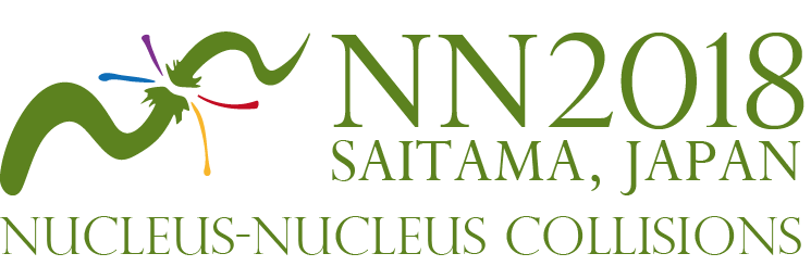 Nucleus-Nucleus Collitions 2018